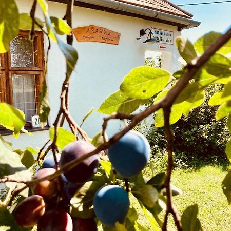 Ubytovanie U Aranky Cierna nad Tisou Екстер'єр фото