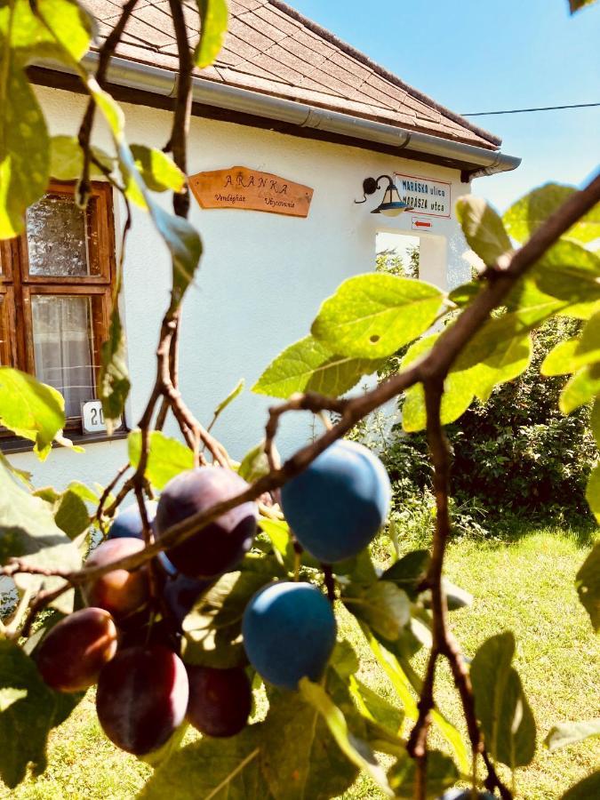 Ubytovanie U Aranky Cierna nad Tisou Екстер'єр фото